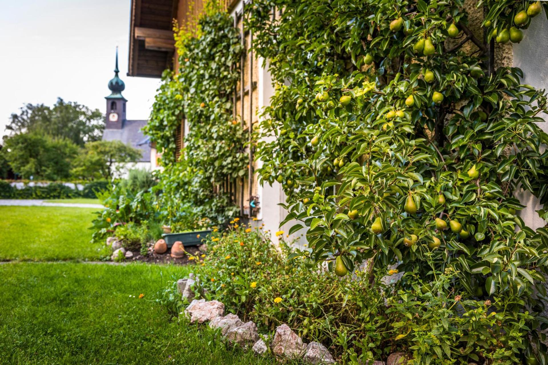 Landhaus Appartement Seidenwebergut Anif Bei Salzburg Niederalm المظهر الخارجي الصورة